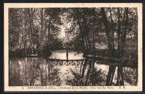 AK Artannes /Indre-et-Loire, Chateau de la Mothe, Une vue du Parc