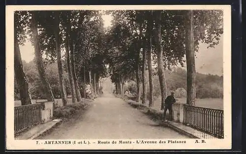 AK Artannes /Indre-et-Loire, Route de Monts, L`Avenue des Platanes