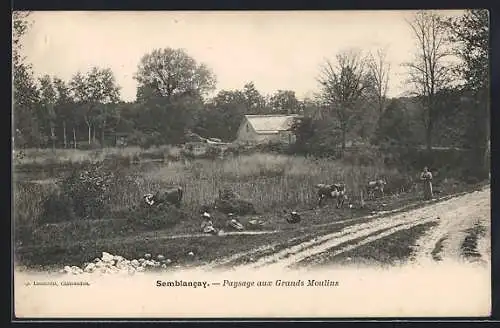 AK Semblancay /I.-et-L., Paysage aux Grands Moulins