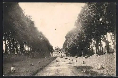 AK Verneuil-sur-Indre, Le Château et l`Avenue des Tilleuls