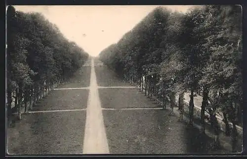 AK Verneuil, Avenue du Château