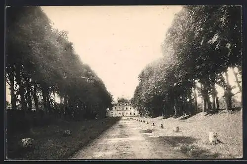 AK Verneuil-sur-Indre, Le Château et l`Avenue des Tilleuls