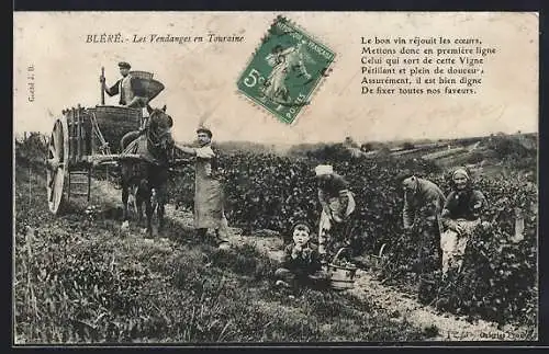 AK Bléré, Les Vendanges en Touraine