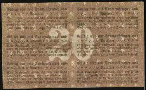 Notgeld Pössneck, 1919, 20 Mark, Gutschein gültig bis 1. Februar 1919, beidseitig bedruckt