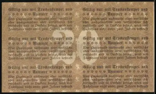 Notgeld Pössneck 1919, 20 Mark, Gutschein gültig bis 1. Februar 1919, Text auf Rückseite