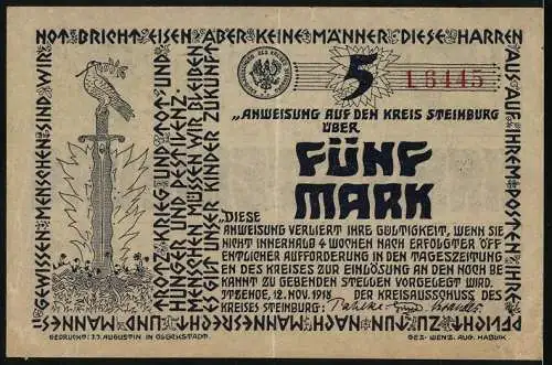 Notgeld Itzehoe 1918, 5 Mark, Anweisung auf den Kreis Steinburg mit dekorativen Elementen und Text