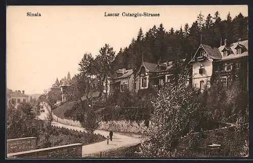 AK Sinaia, Lascar Catargiu-Strasse