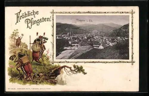 Passepartout-Lithographie Thann i. Els., Ortsansicht, Maikäfer auf Wanderschaft