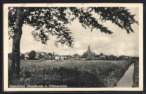 AK Wesselburen, Ortsansicht aus der Ferne