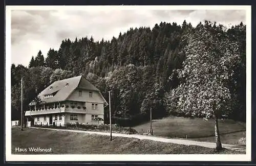 AK Hinterzarten /bad. Schwarzwald, Hotel Wolfsnest