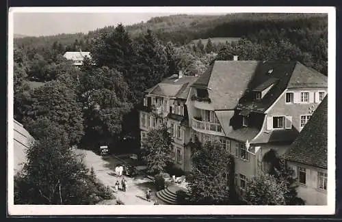 AK Hinterzarten /Hochschwarzwald, Hotel und Wirtshaus Adler