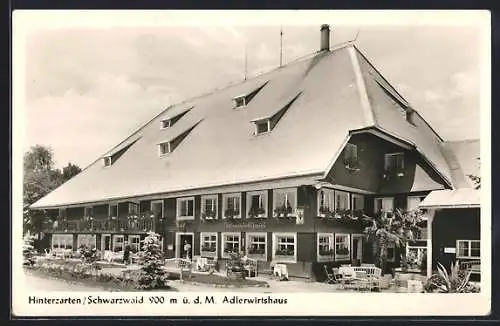 AK Hinterzarten /Schwarzwald, Gasthaus Adlerwirtshaus