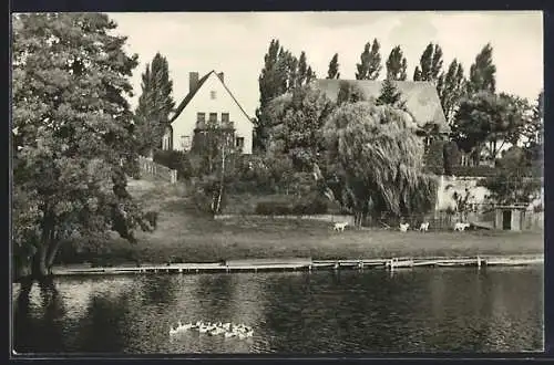 AK Templin / Uckermark, Uferpartie am Kanal