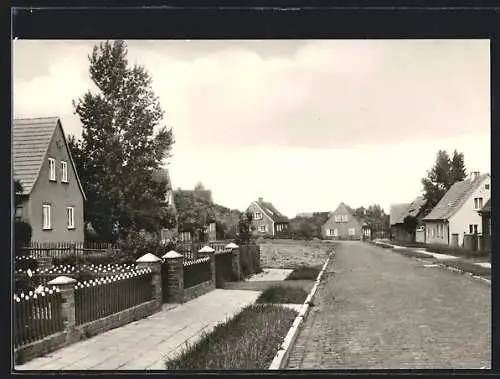 AK Belleben, Strassenpartie in der Siedlung