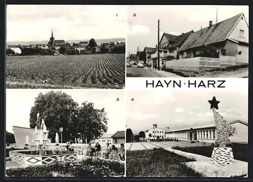 AK Hayn /Harz, Am Langenberg, Polytechnische Oberschule und Turnhalle