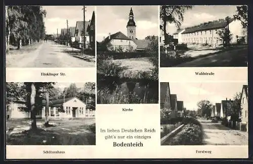 AK Bodenteich, Häcklinger Strasse, Schützenhaus, Forstweg, Waldstrasse