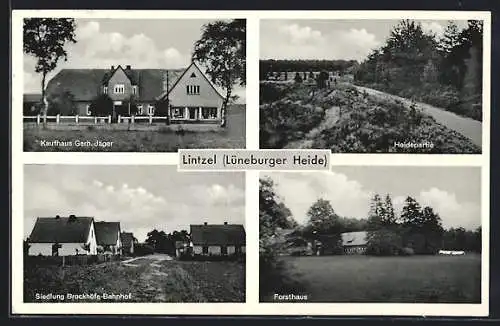 AK Lintzel /Lüneburger Heide, Kaufhaus G. Jäger, Siedlung Brockhöfe-Bahnhof, Forsthaus