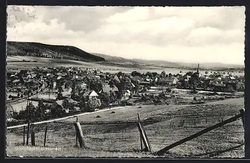 AK Gross-Berkel /Hameln, Ortsansicht mit Feldern und Bergpanorama