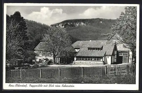 AK Hessisch Oldendorf, Pappmühle mit Blick zum Hohenstein