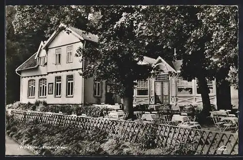 AK Rinteln /Weser, Gasthaus-Pension Waldkater Geschw. Kleinschmidt, mit Garten