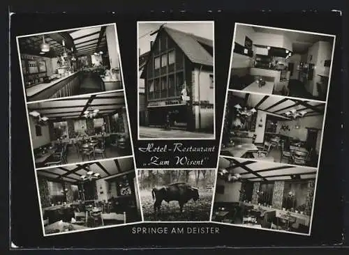 AK Springe am Deister, Innen- und Aussenansichten vom Hotel-Restaurant Zum Wisent