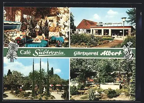 AK Bremen, Café Subtropia - Gärtnerei, Inh. August Albert, Vahrer Strasse 239