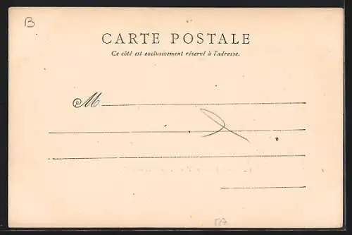 AK Amboise, Le Chateau, Vue d`Ensemble