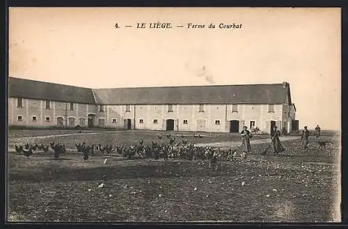 AK Le Liège /I.-et-L., Ferme du Courbat