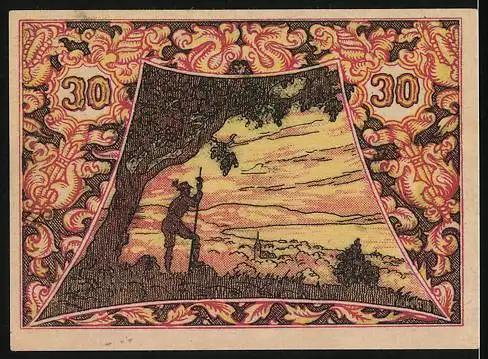 Notgeld Seewalchen am Attersee 1920, 30 Heller, grüne Vorderseite mit Text und Blumendekor, Rückseite Landschaft mit W