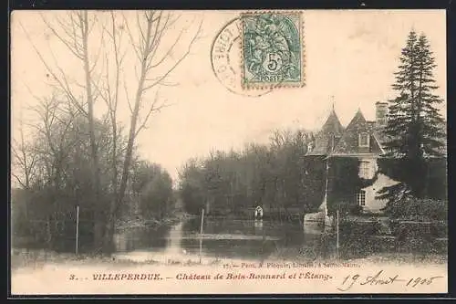 AK Villeperdue /I.-et-L., Chateau de Bois-Bonnard et l`Étang