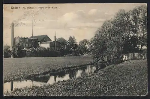 AK Ebstorf /Uelzen, Uferpartie nahe der Praeserven-Fabrik