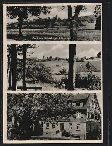 AK Neunkirchen / Odenwald, Gasthaus und Pension Zum grünen Baum, Ortsansicht