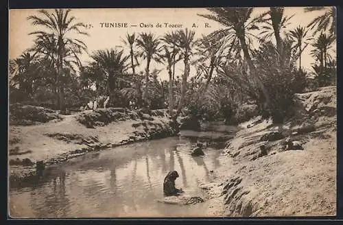 AK Tozeur, Oasis de Tozeur