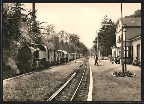 AK Bad Doberan, Bahnhof mit Bäderbahn