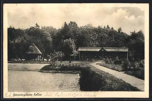 AK Kollow, Blick auf das Geneseungsheim mit Pavillon