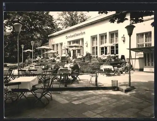 AK Dresden, Gasthaus Carolaschlösschen im Grossen Garten