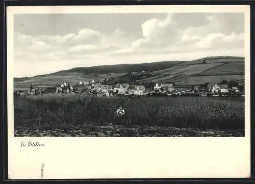 AK St. Ottilien / Hessen, Ortsansicht, Panorama mit Feld