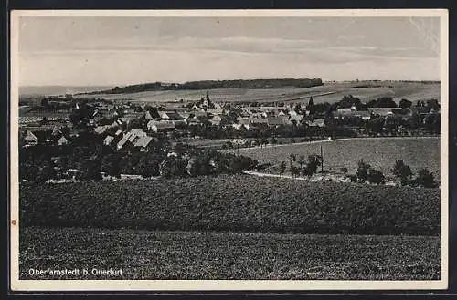 AK Oberfarnstedt b. Querfurt, Ortsansicht, Panorama