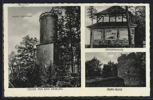 AK Bad Driburg, Kaiser Karlsturm, Restaurant Sachsenklause, Ruine