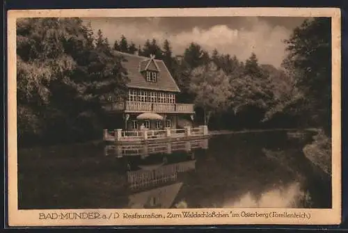 AK Bad Münder, Restaurant zum Waldschlösschen am Forellenteich