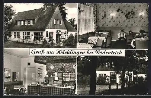 AK Häcklingen /Bodenteich, Gaststätte Waldesruh W. Guttau