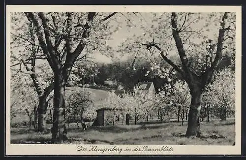 AK Neuhof über Hildesheim, Gasthaus Klingenberg in der Baumblüte