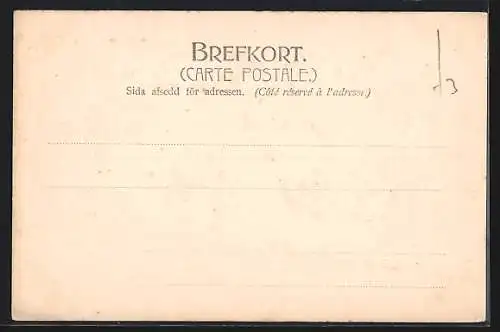 AK Marstrand, Küstenansicht mit der Festung