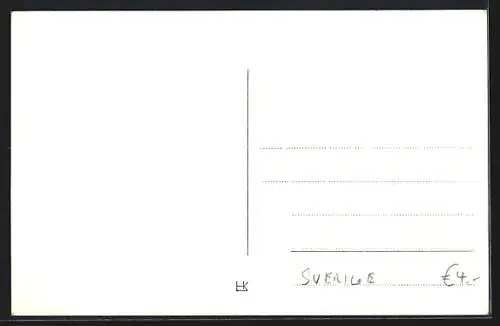 AK Uppsala, fran Flygplan, Fliegeraufnahme der Stadt mit dem Dom