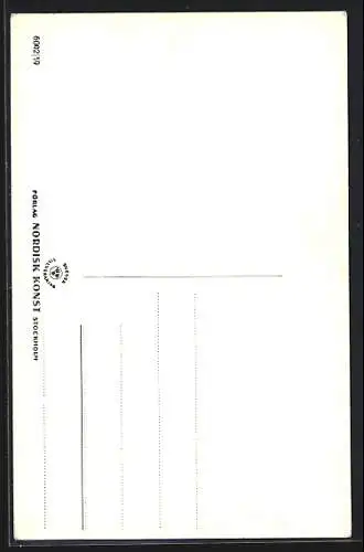 AK Rättvik, Strassenpartie am Maibaum