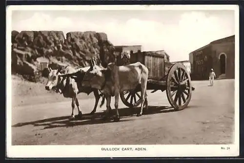 AK Aden, Bullock Cart, Ochsengespann