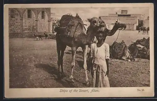 AK Aden, Ships of Desert