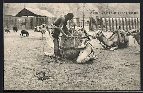 AK Aden, The Shoss of the desert