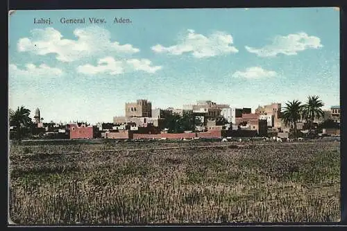 AK Aden, Lahej, General View