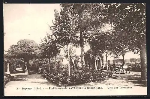 AK Vouvray /I.-et-L., Etablissements Vavasseur & Bernadet, Une des Terrasses